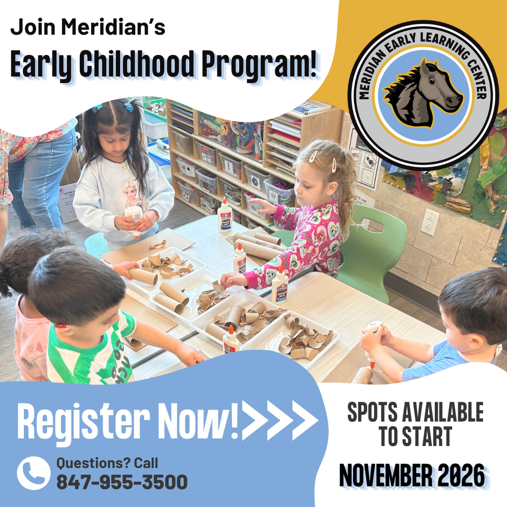 Meridians early childhood info graphic