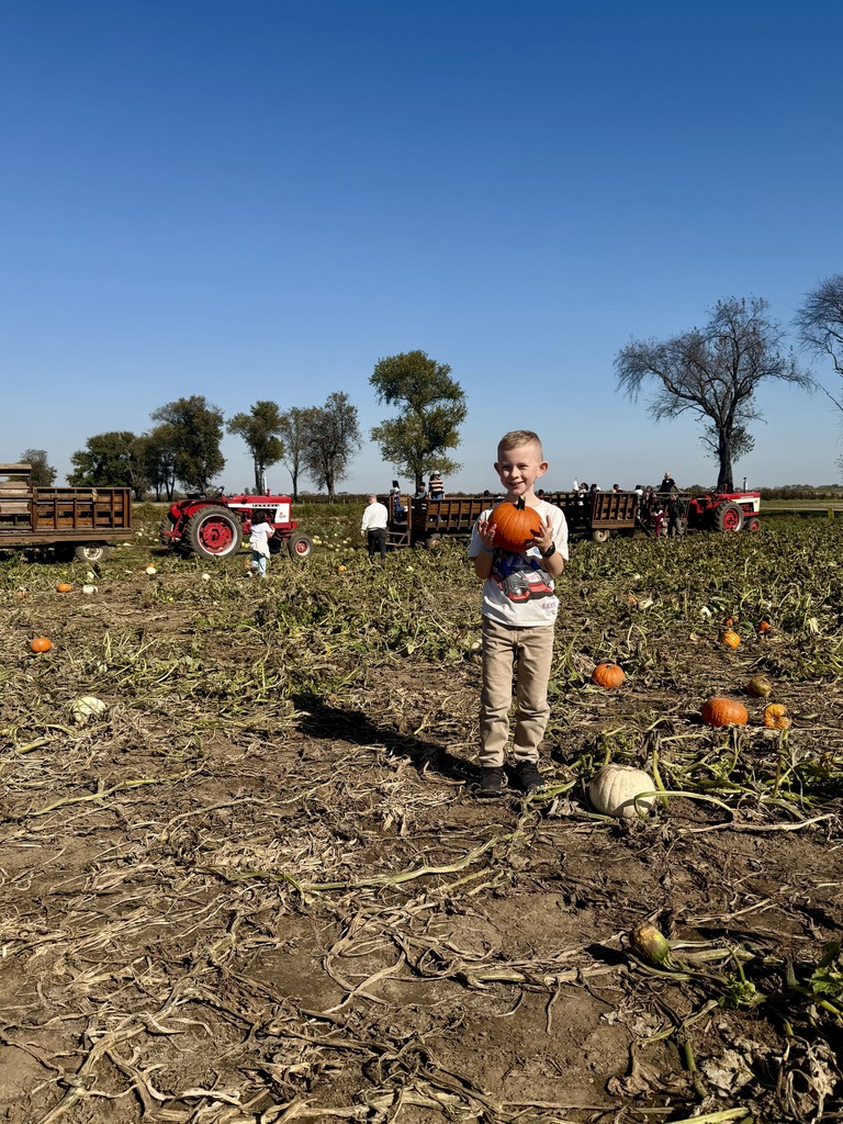 Student holding a pumpkin in a field.
