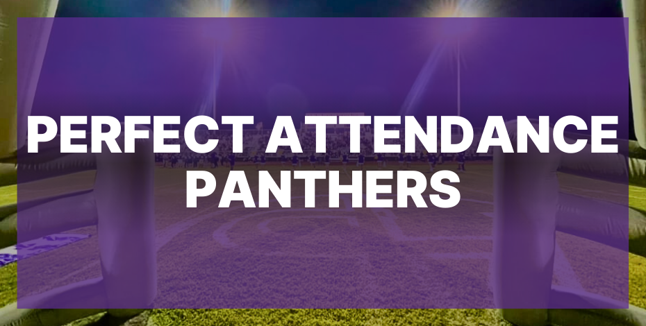 Perfect Attendance Panthers