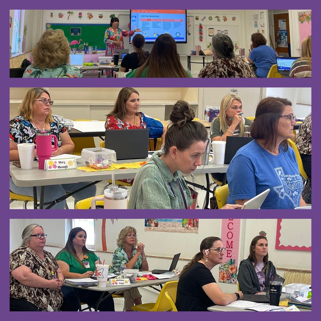 Teachers in Amplify training