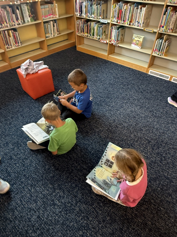 public library