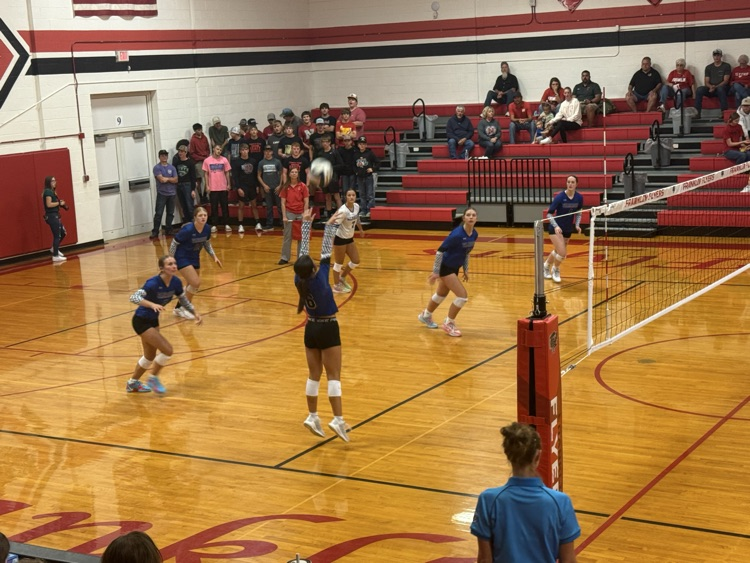 VB