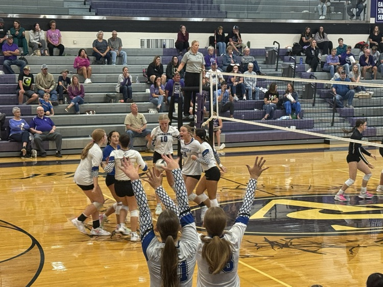 VB