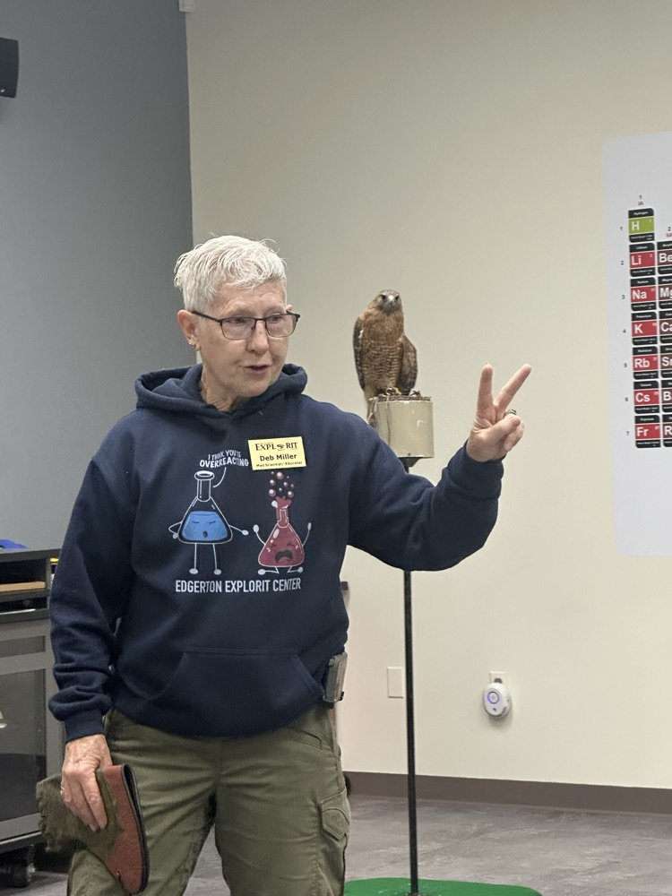 Their new owl.