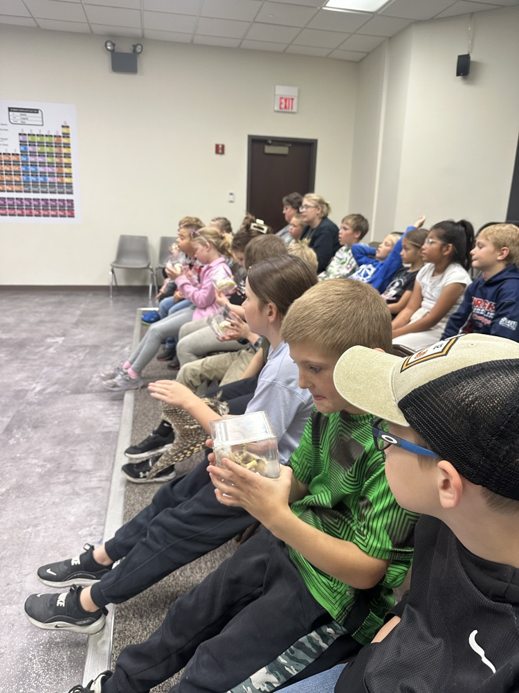 The second graders learning about raptors.