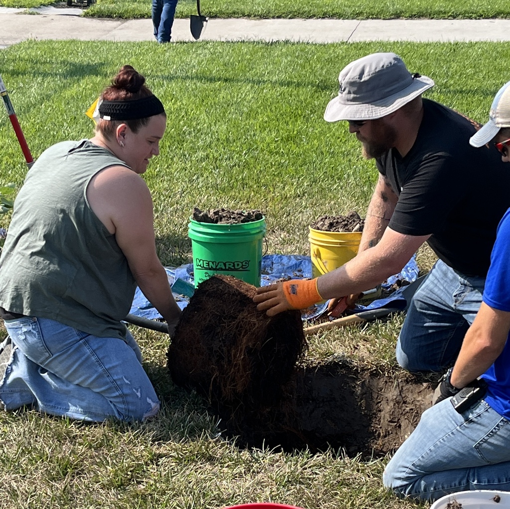 Cutting roots for north tree