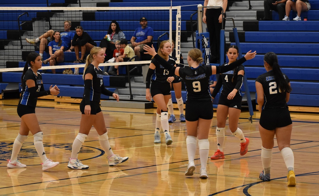 jv volleyball photo