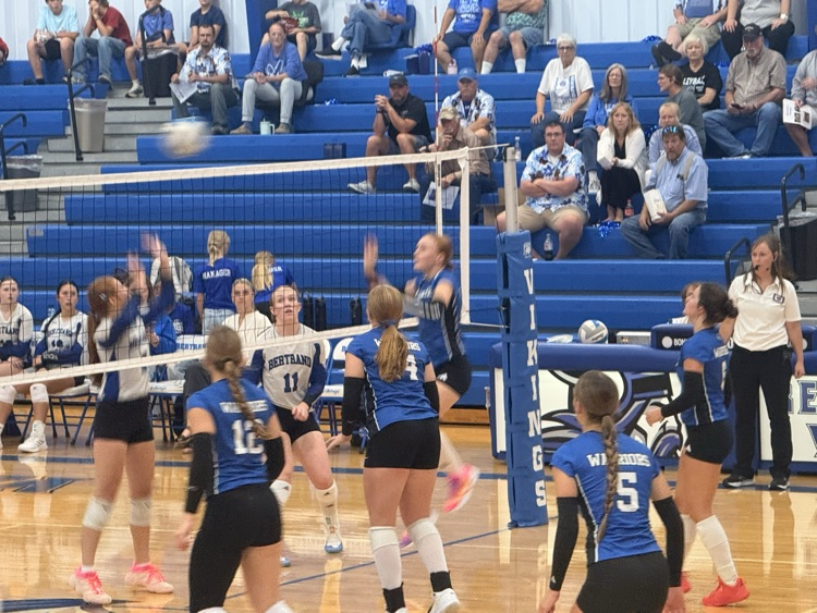 VB