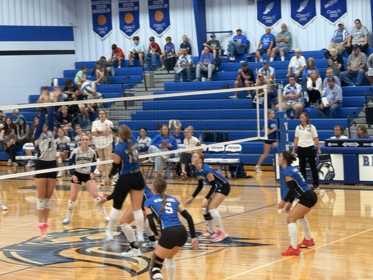 VB