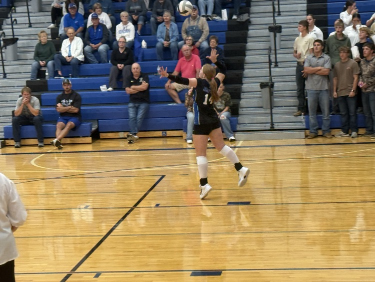 VB