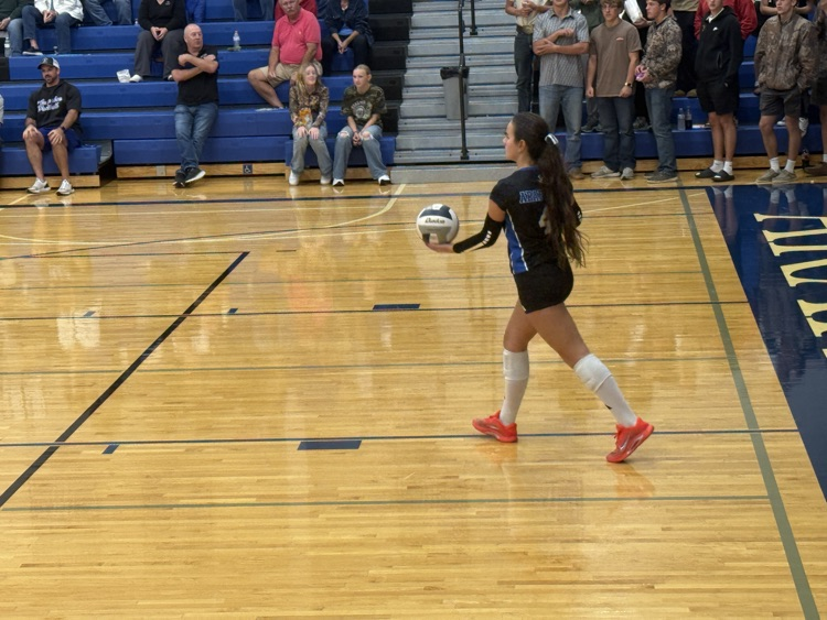VB