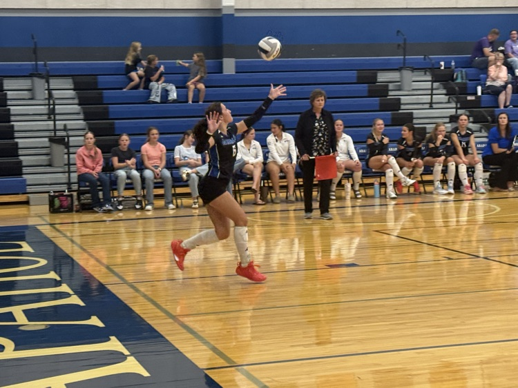 VB