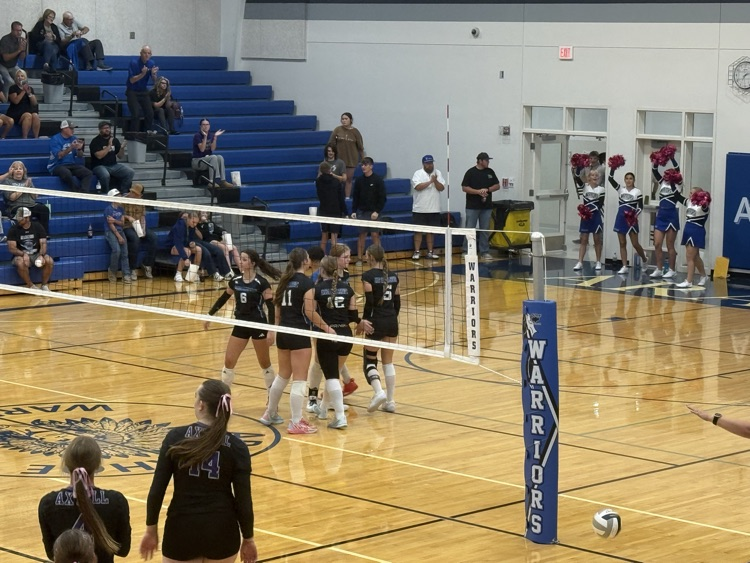 VB
