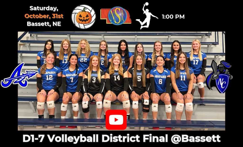 d1-7 volleyball district final at bassett - saturday, october 31st - 1pm