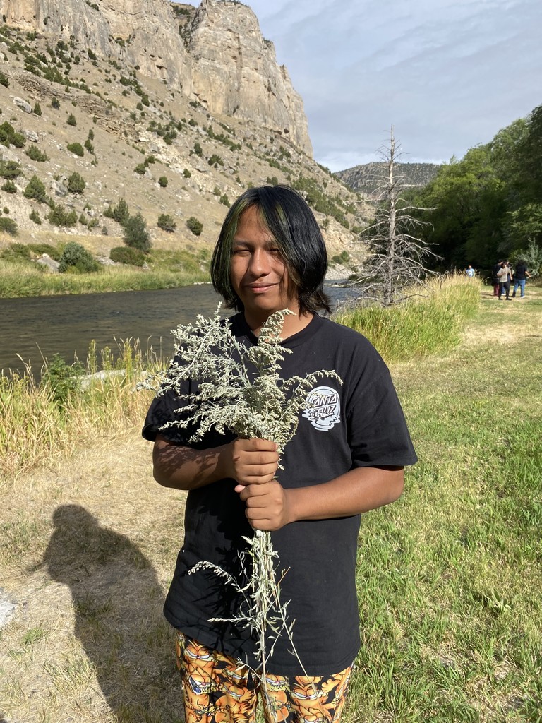 pick sage