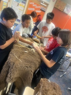 Buffalo lesson