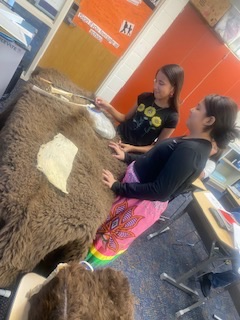 Buffalo lesson