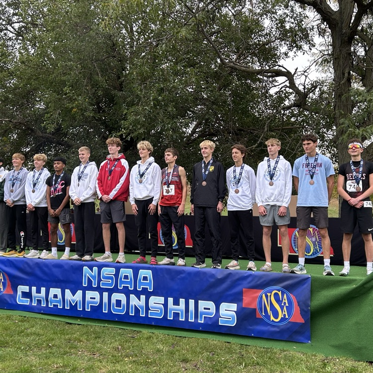 Dutch whole medal group