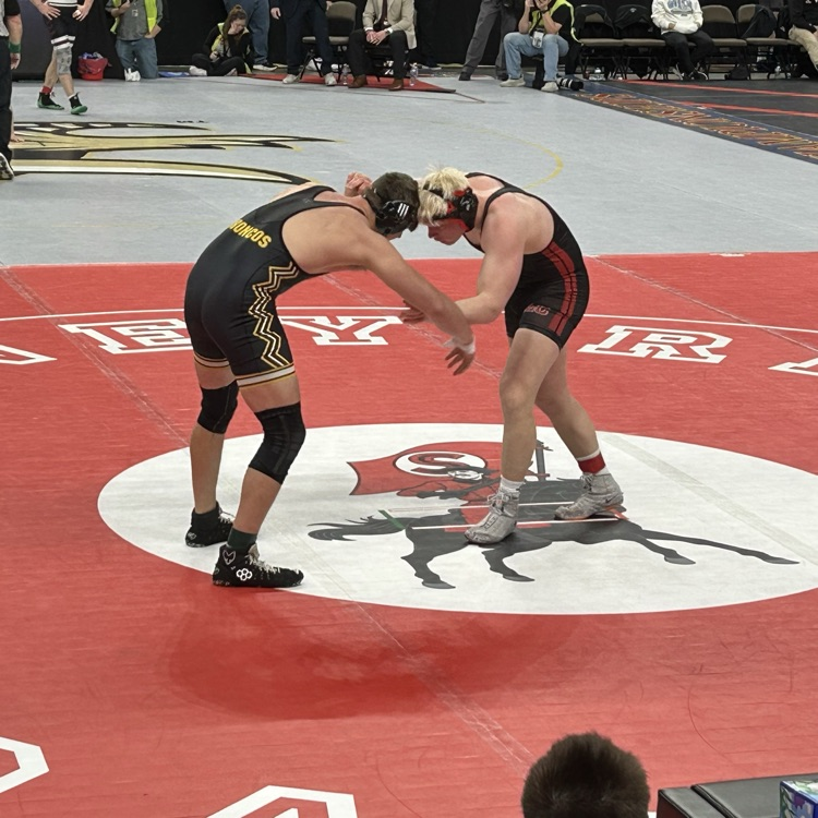 Wyatt 3rd place match