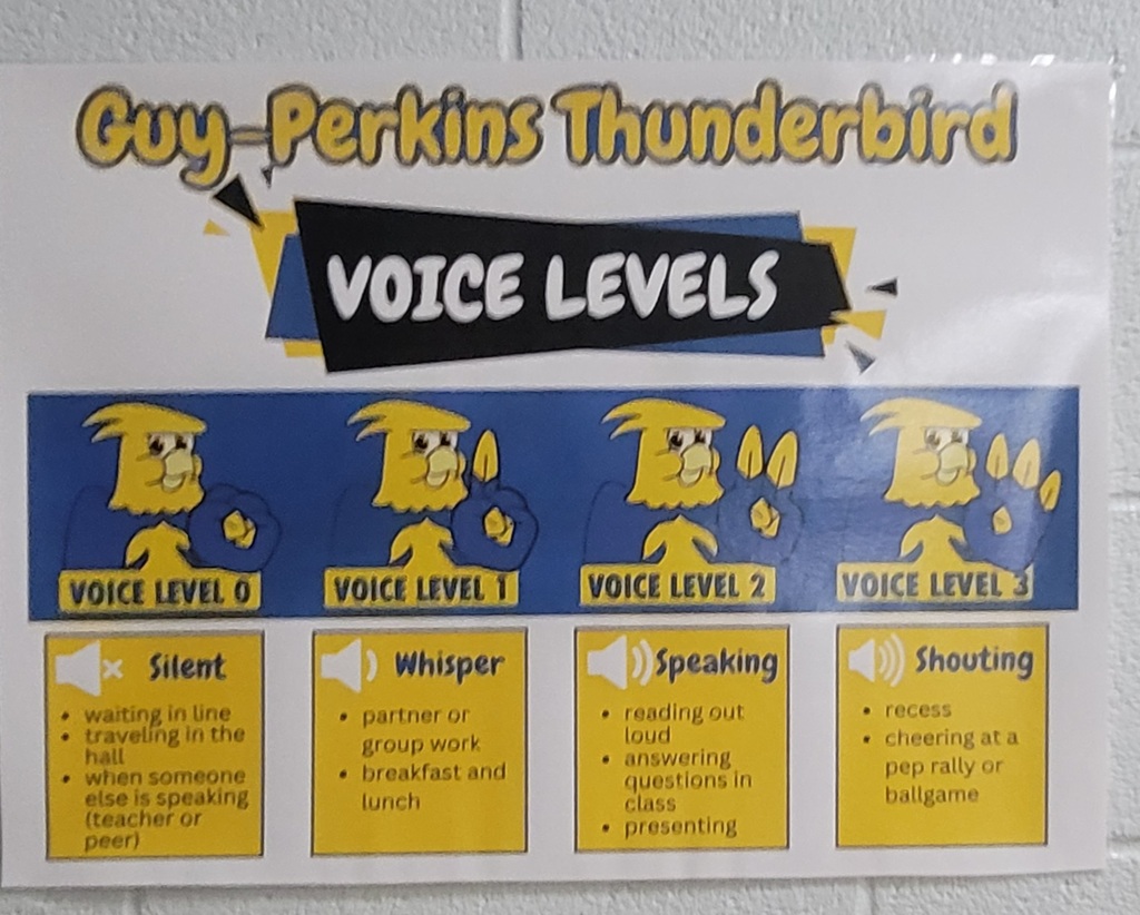 voice level poster