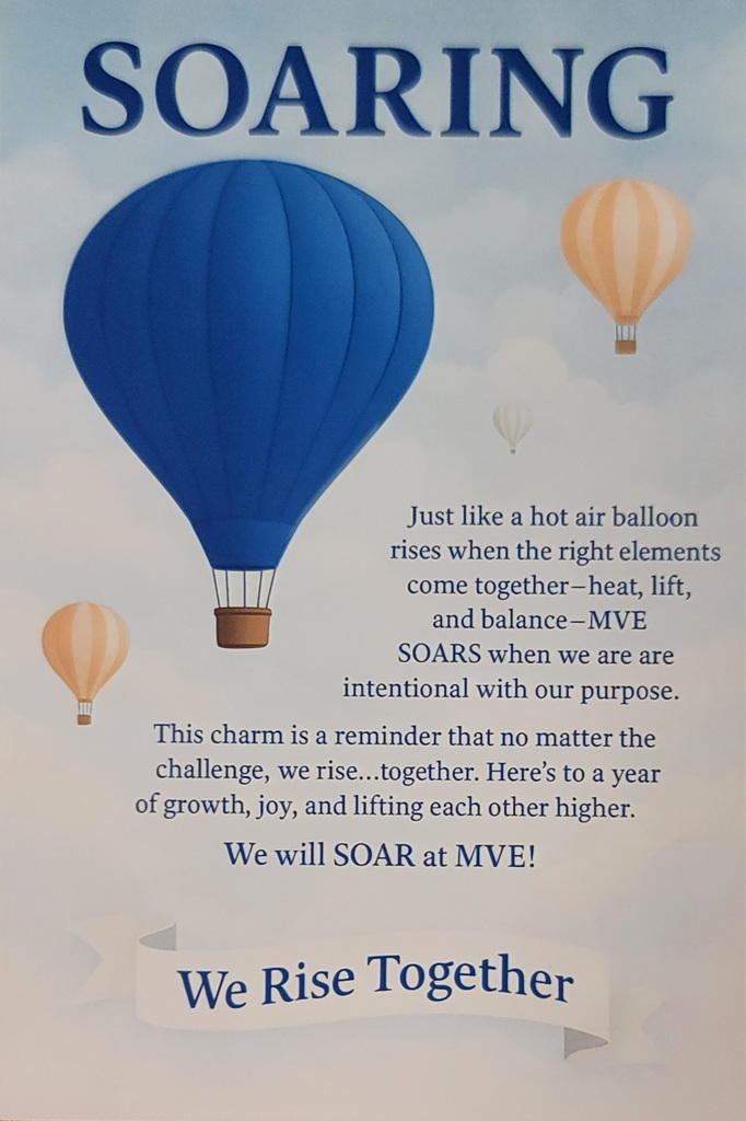 hot air balloon