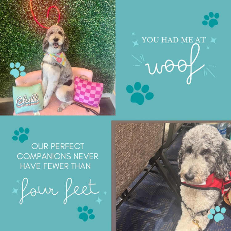 dog appreciation 