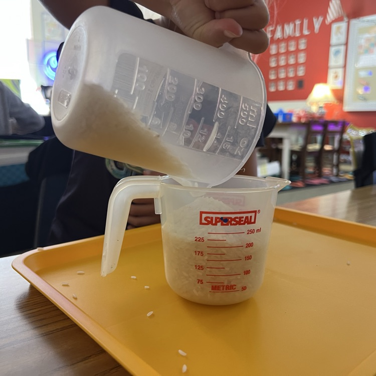 this child is pouring rice from one measuring cup to another.