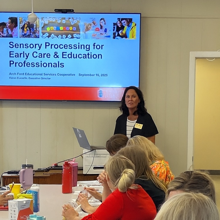 in this photo, you can see a professional educator leading a group of educators, who are sitting at a table facing the lead.