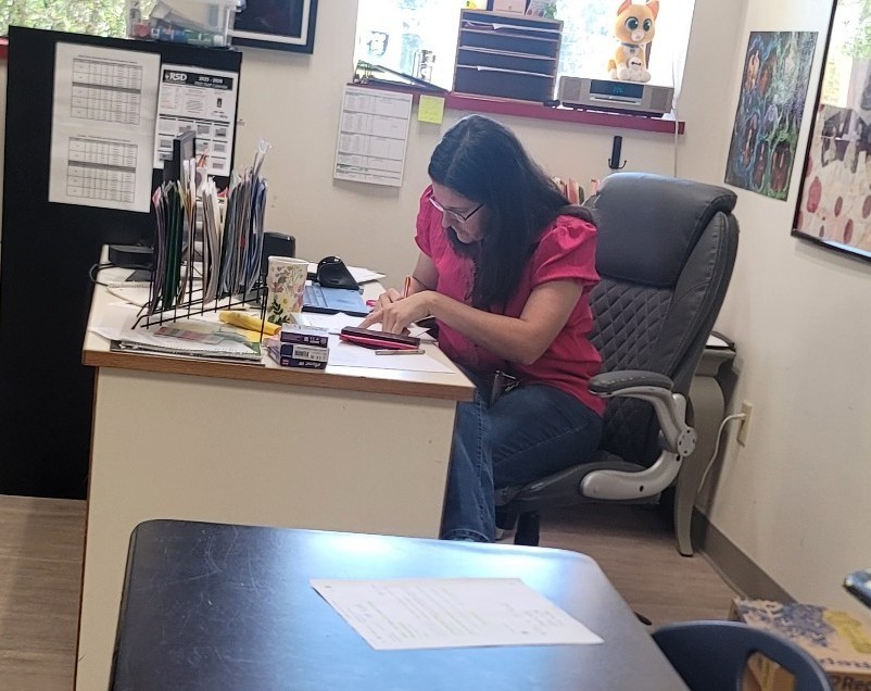 teacher 