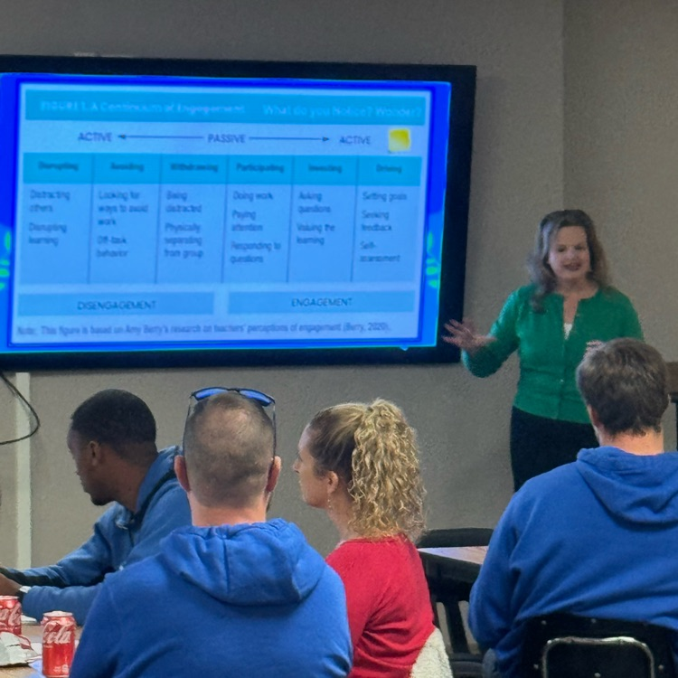 Facilitator at the front of the room presenting to teachers  