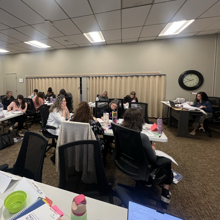 professional educators at tables with learning materials, observing video evidence of class domains.