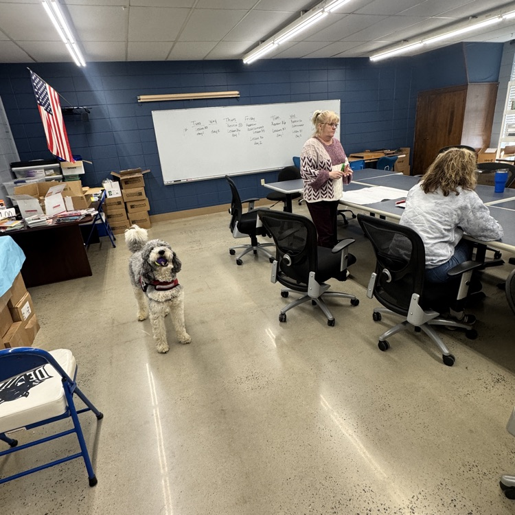 teachers collaborating 