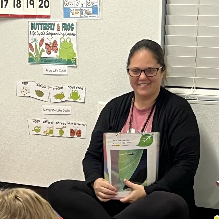 Teacher sitting on a colorful classroom rug reading a book to preschool children during circle time. Educational posters about number formation and life cycles are displayed on the wall behind her.