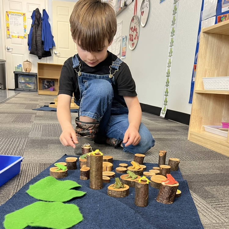 Preschool child engaged in hands-on learning, arranging small wooden logs and toy frogs on a mat as part of a nature-based play activity.