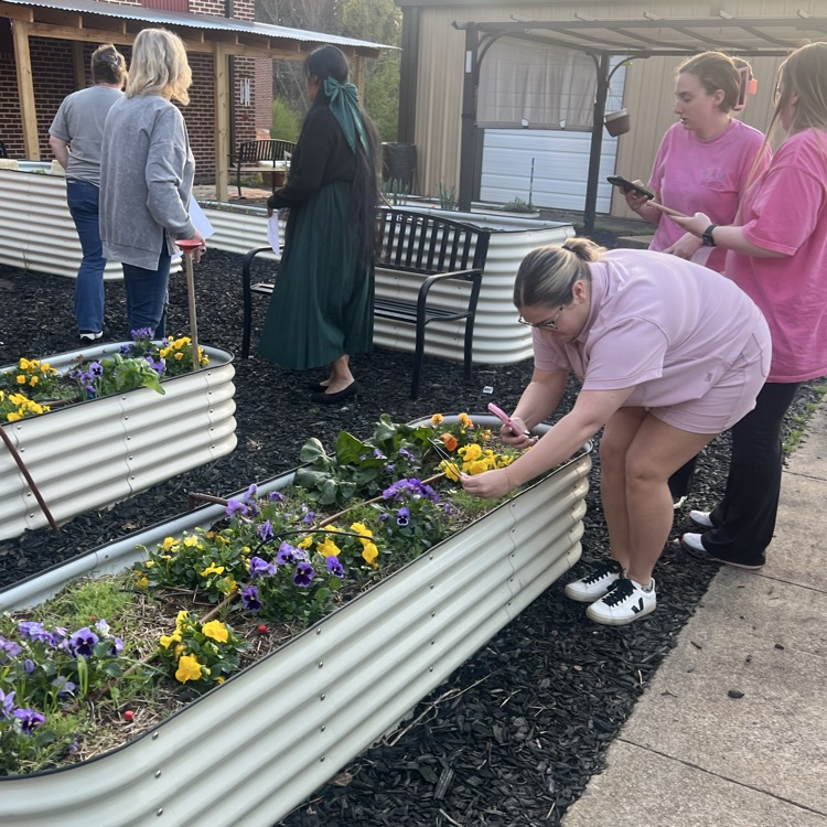 Educators explore raised garden beds outdoors as part of an outdoor learning activity.