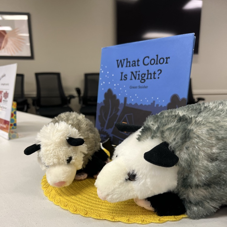 Books and plush animal props displayed as part of an early childhood literacy activity.