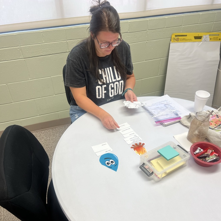 Participant engages in a hands on activity exploring quality interactions and instructional support practices.