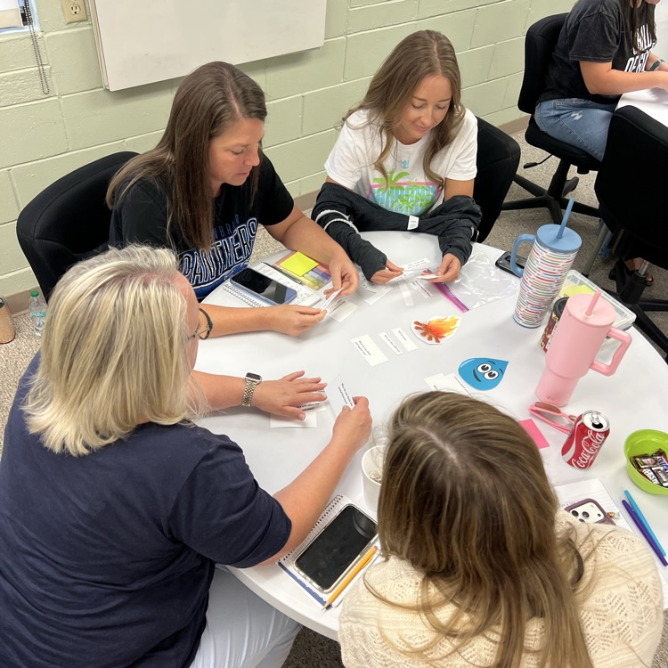 Educators work together to analyze and discuss instructional support strategies during training.
