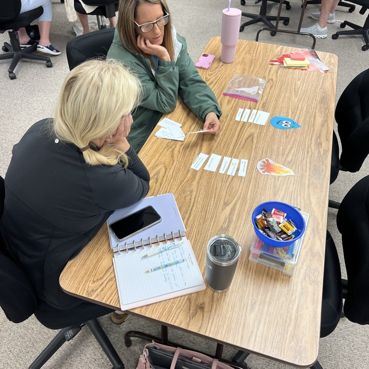 Participants sort and discuss concepts related to quality teacher child interactions