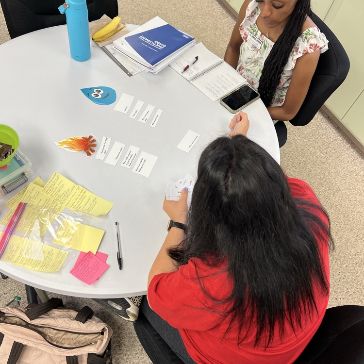 Educators engage in reflective discussion and problem solving activities.