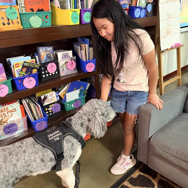 school visit with dog 