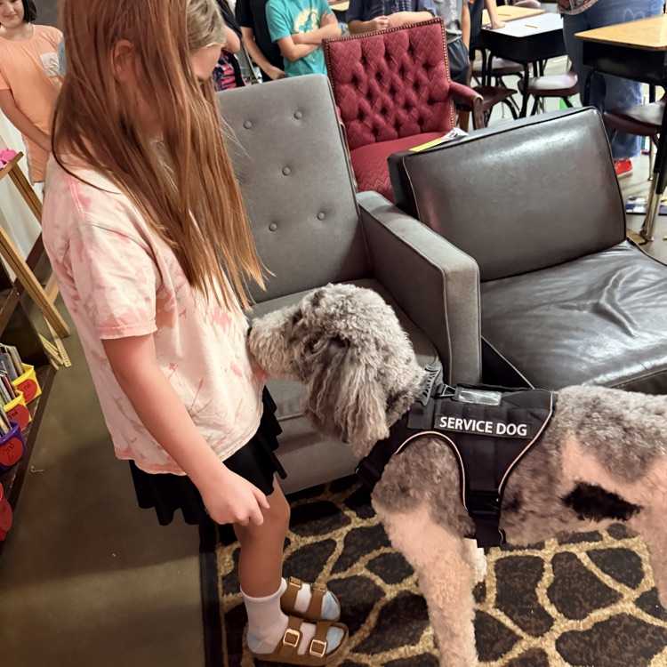 school visit with dog 