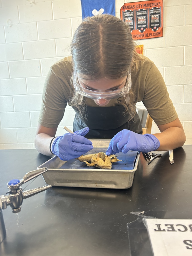 Malayna with her frog Jimmy.