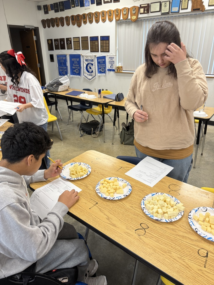 Practice Dairy Foods and Entomology in Intro to Ag 