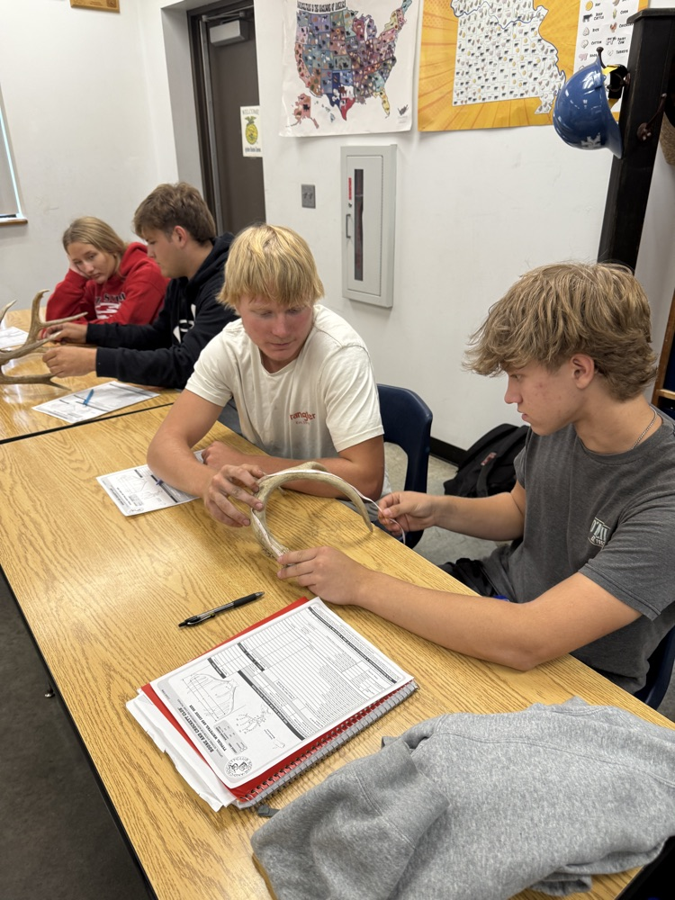 scoring antlers 