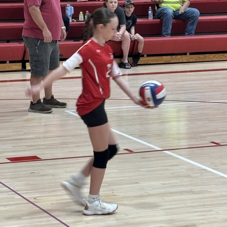 VB