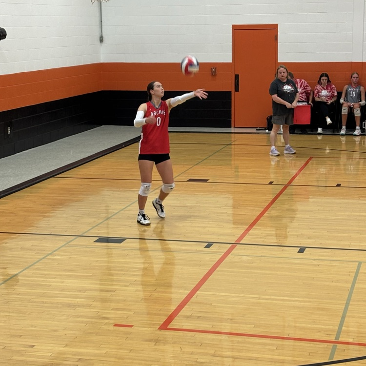 VB