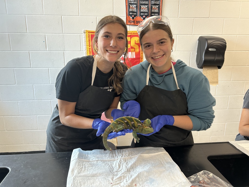 Two students holding a chameleon for dissection.
