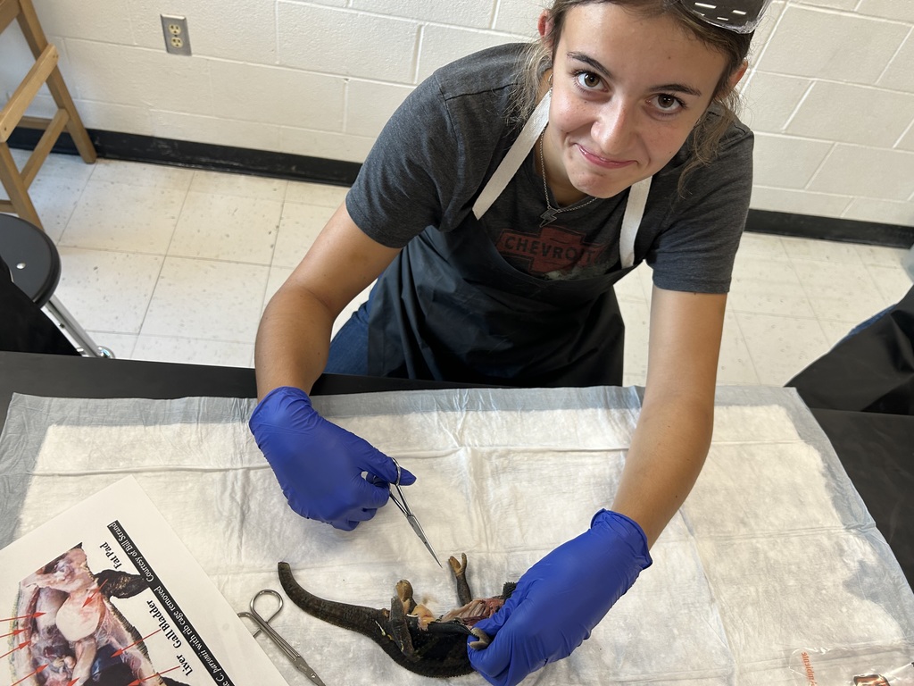 Student preparing for dissection.