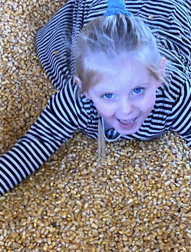 preschool field trip 